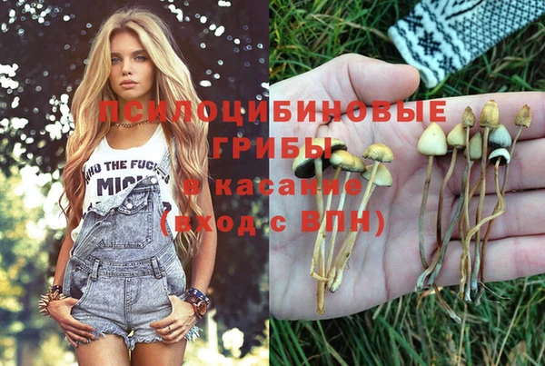 ГАЛЛЮЦИНОГЕННЫЕ ГРИБЫ Белоозёрский