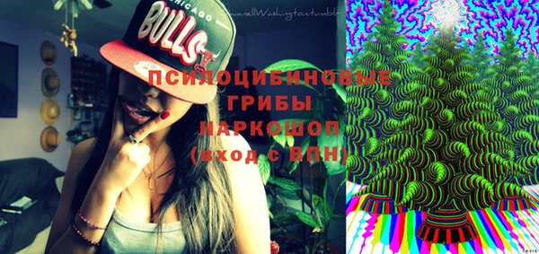 а пвп мука Белокуриха